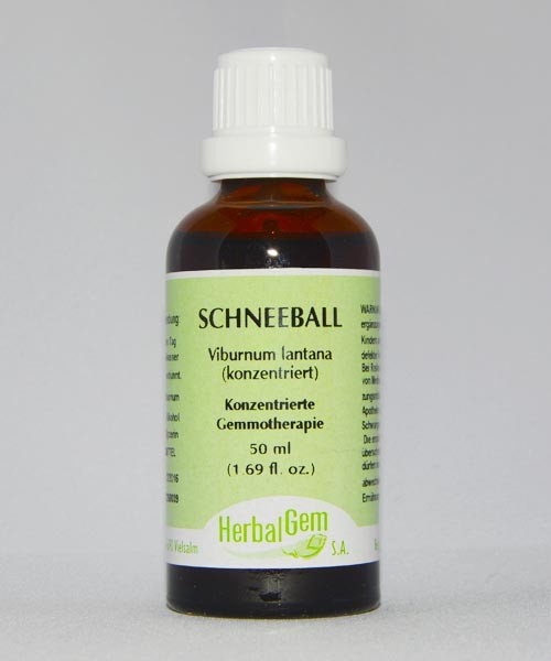Schneeball