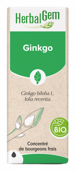 Ginkgo