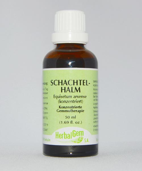 Schachtelhalm