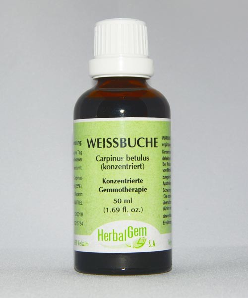 Weißbuche