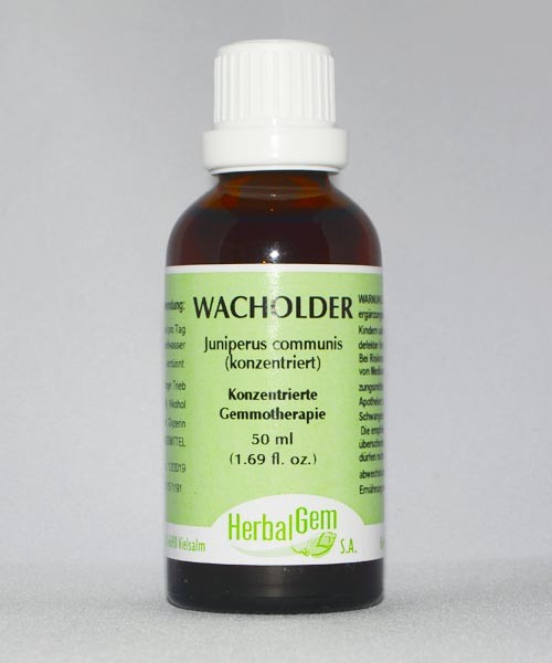 Wacholder