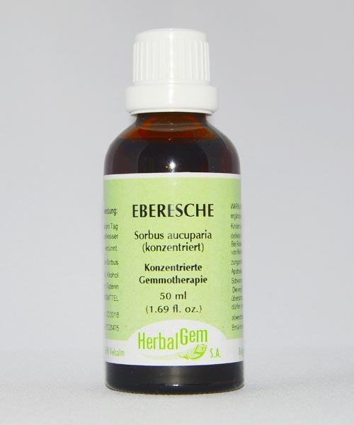 Eberesche