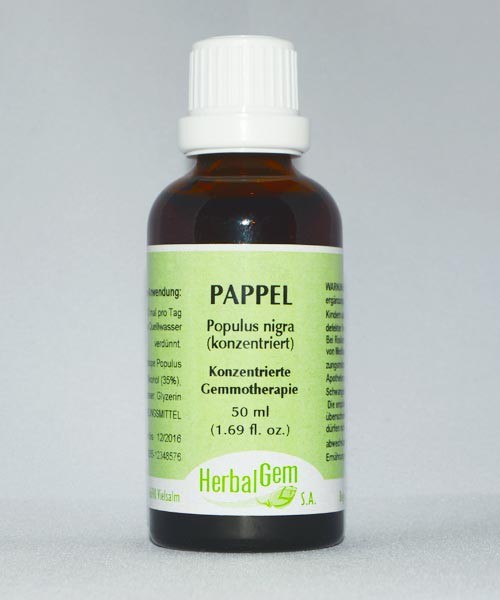 Pappel