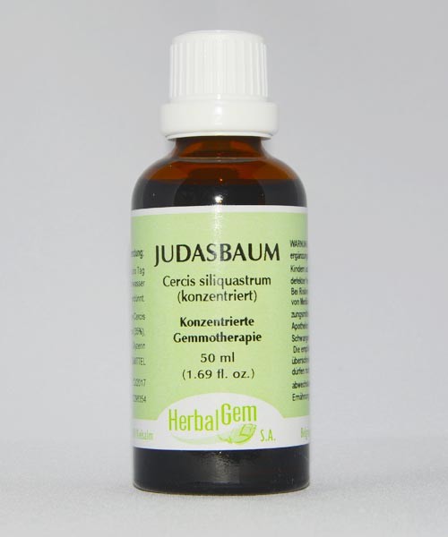 Judasbaum