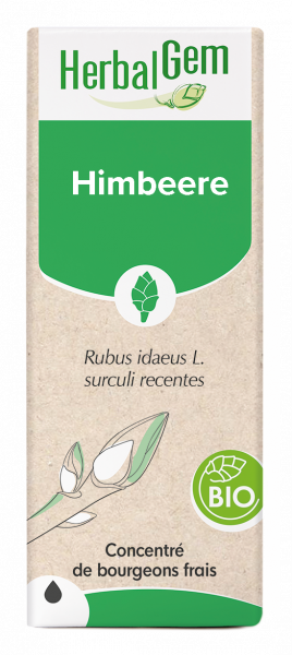 Himbeere