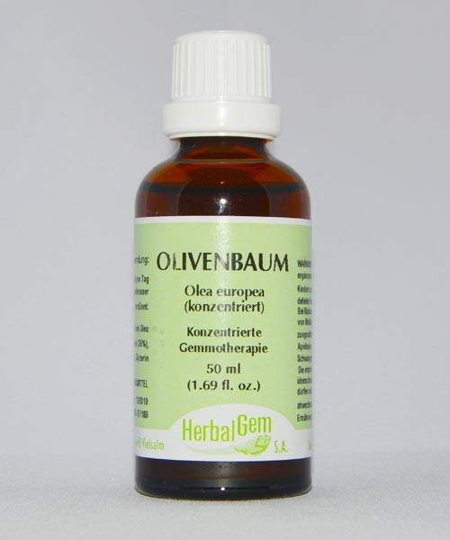 Olivenbaum