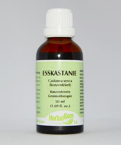 Esskastanie