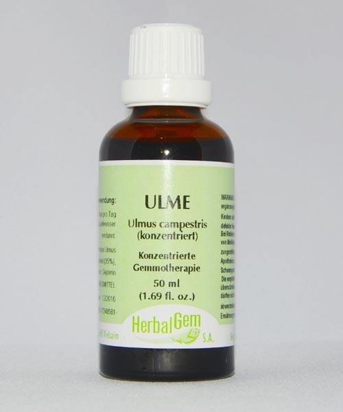 Ulme