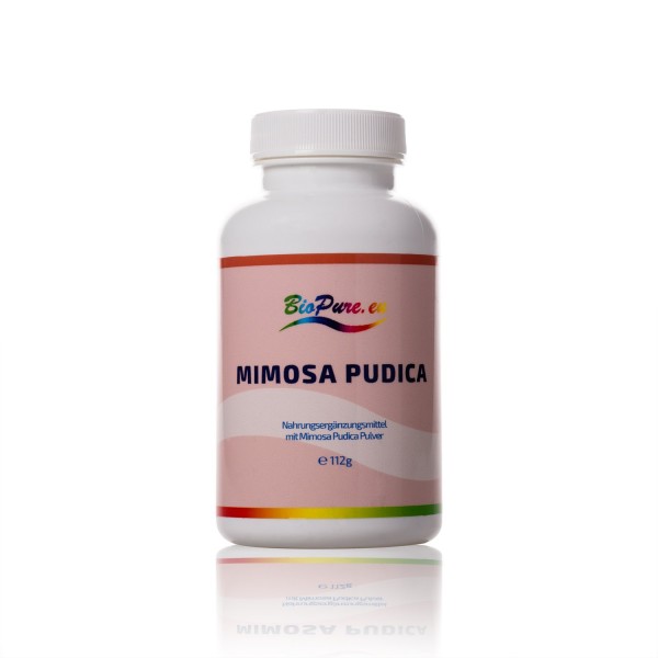 Mimosa Pudica Sanft