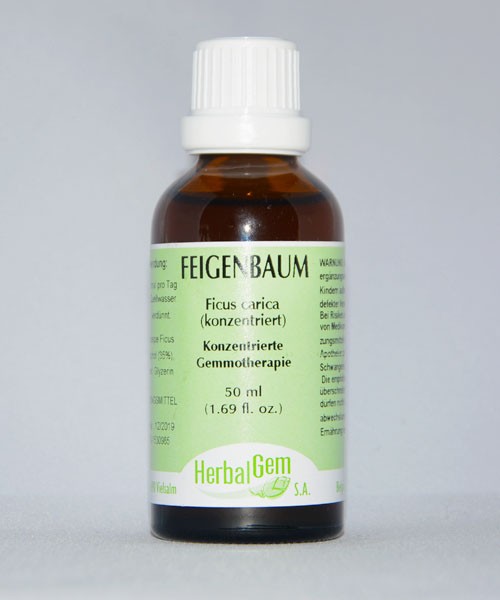 Feigenbaum