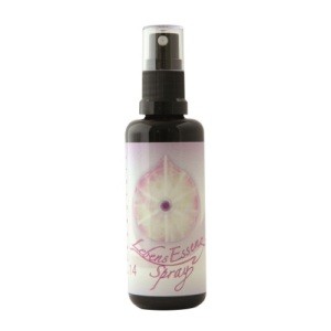 Spray Erkenntnis