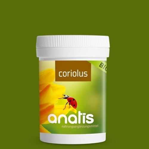 Coriolus Pilz