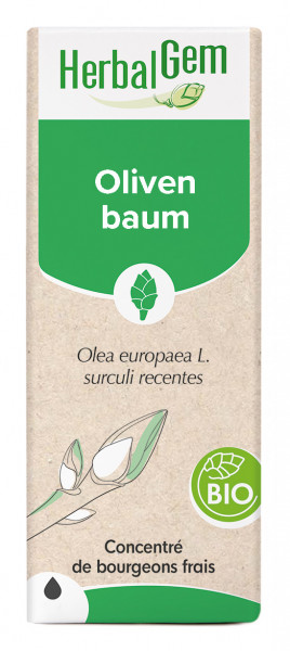 Olivenbaum