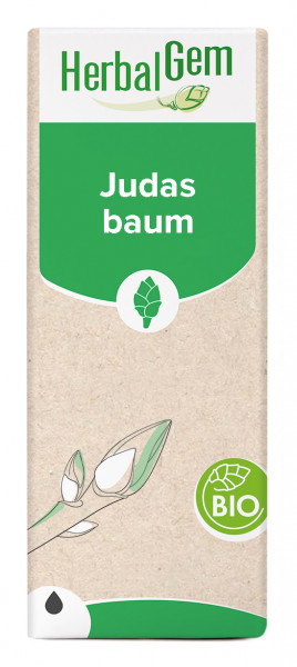 Judasbaum