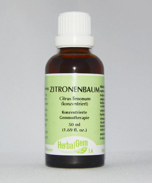 Zitronenbaum