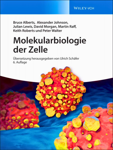 Molekularbiologie
