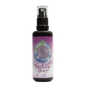 Spray Ganzheit