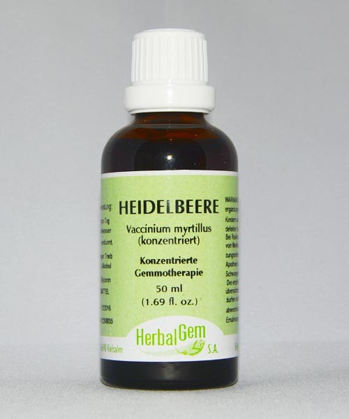 Heidelbeere